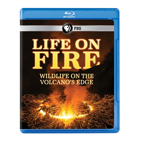 Picture of LIFE ON FIRE: WILDLIFE ON THE VOLCANOS EDGE