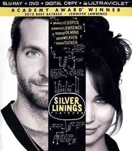 Picture of SILVER LININGS PLAYBOOK