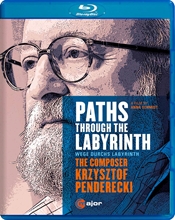 Picture of PATHS THROUGH THE LABYRINTH