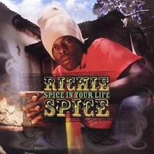 Picture of SPICE IN YOUR LIFE  by RICHIE SPICE