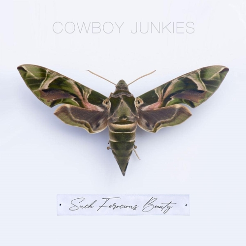 Picture of Such Ferocious Beauty  by Cowboy Junkies 