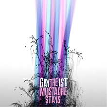 Picture of Gaytheist - The Mustache Stays [CD]