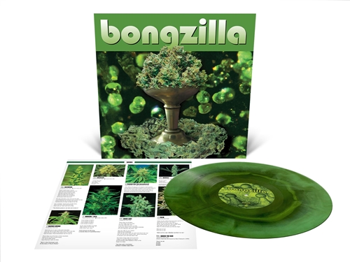 Picture of Stash (Mint Green/Swamp Green Galaxy Effect Merge Vinyl) (LP) by Bongzilla