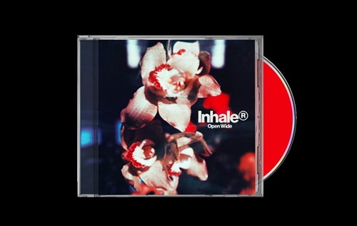 Picture of OPEN WIDE (CD) by INHALER