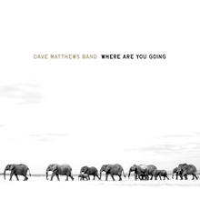 Picture of Where Are You Going: The Singles (2LP) by Dave Matthews Band