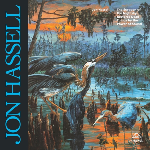 Picture of Jon Hassell - The Surgeon Of The Nightsky Restores Dead Things By The Power Of Sound [LP]