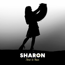 Picture of Sharon Shannon - Now & Then: A Retrospective Box Set [LP]