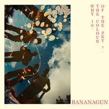 Picture of Bananagun - Why Is The Colour Of The Sky? [LP]