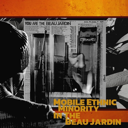 Picture of Mobile Ethnic Minority - In The Beau Jardin [LP]