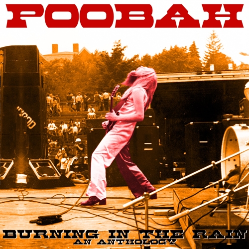 Picture of Poobah - Burning In The Rain: An Anthology [LP]