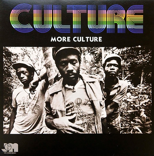 Picture of Culture - More Culture [LP]