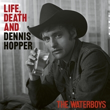 Picture of LIFE, DEATH AND DENNIS (2LP) by WATERBOYS,THE